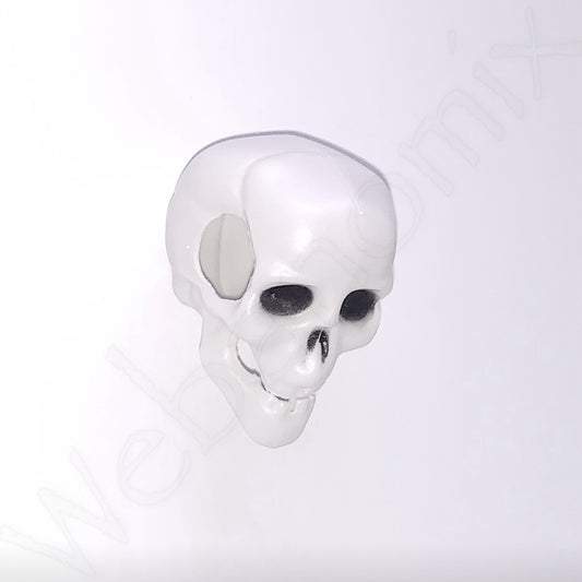 Magnetic skull and bones