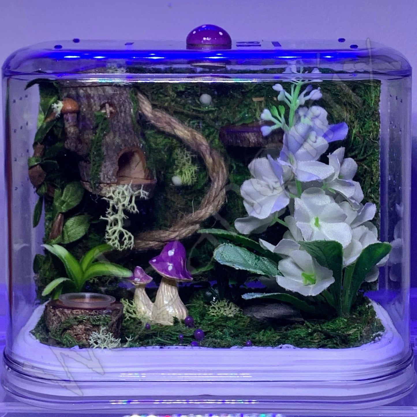 Fairy theme enclosure MED