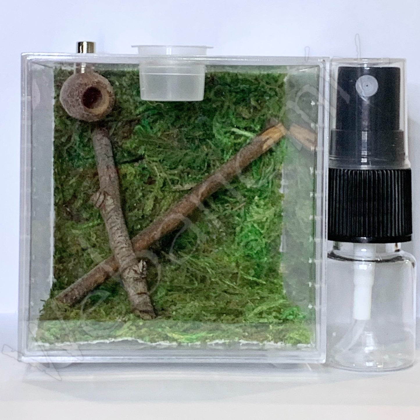 Jumping spider Nano kit