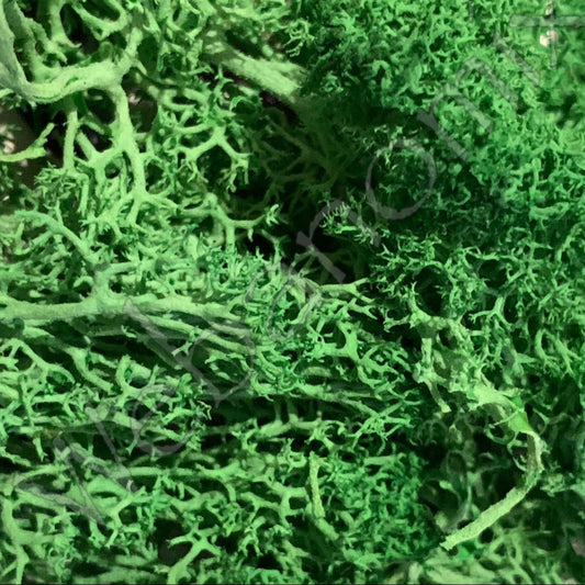 Broccoli moss