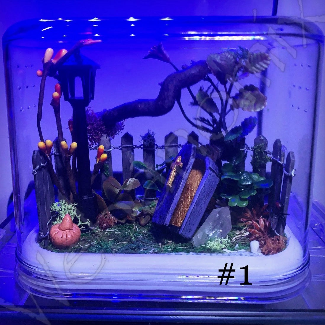 Halloween theme enclosure MED