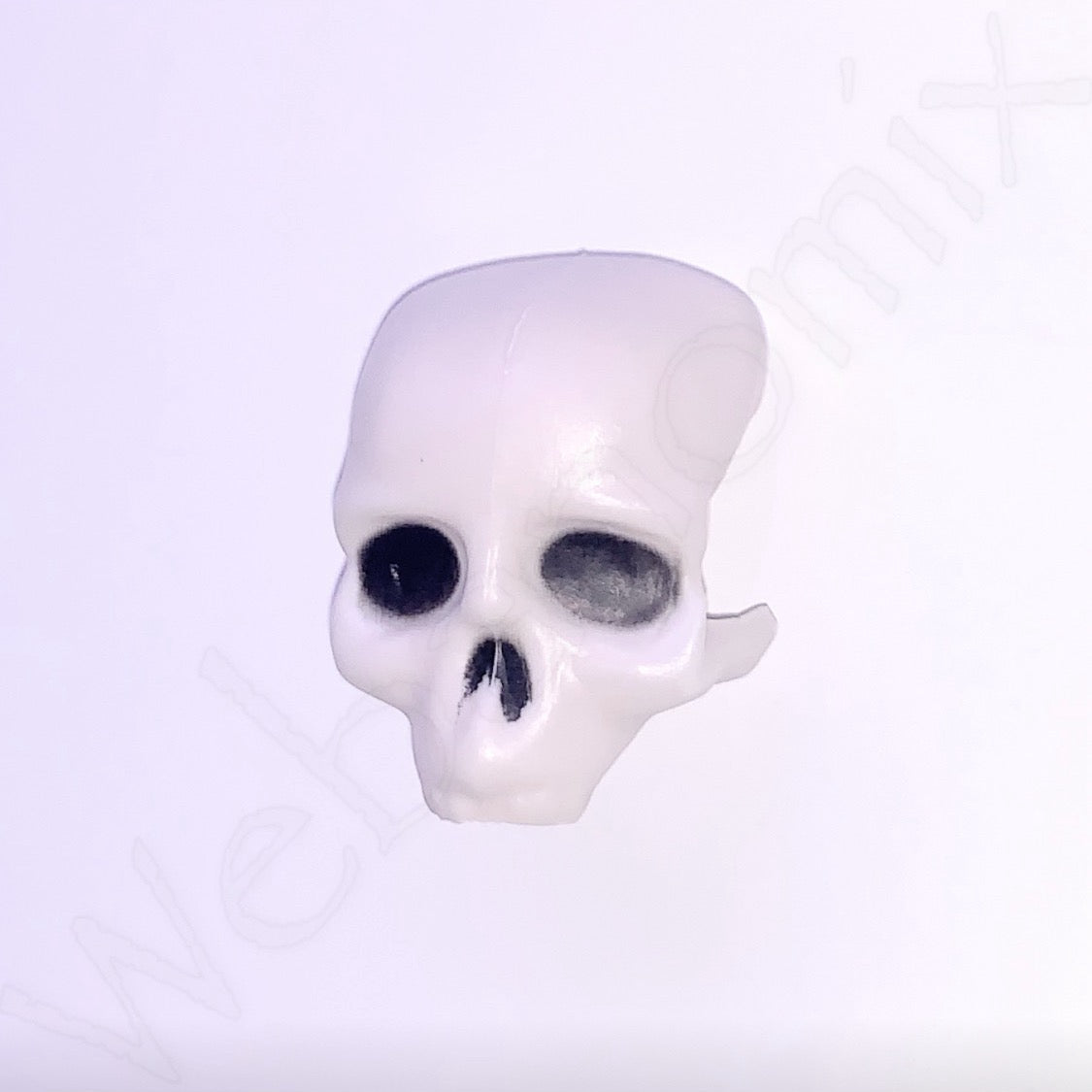 Magnetic skull and bones