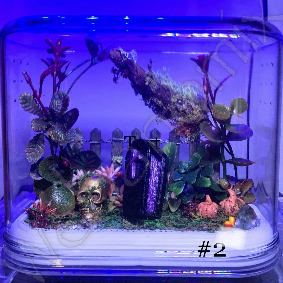 Halloween theme enclosure MED