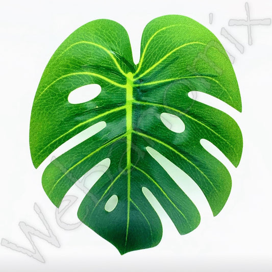 Magnetic Monsteria leaf