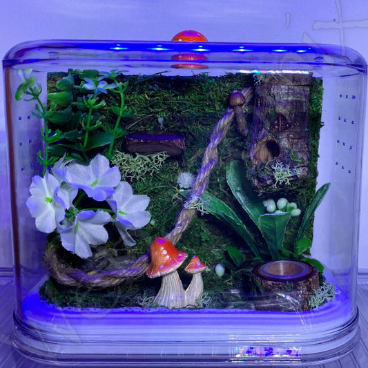 Fairy theme enclosure MED